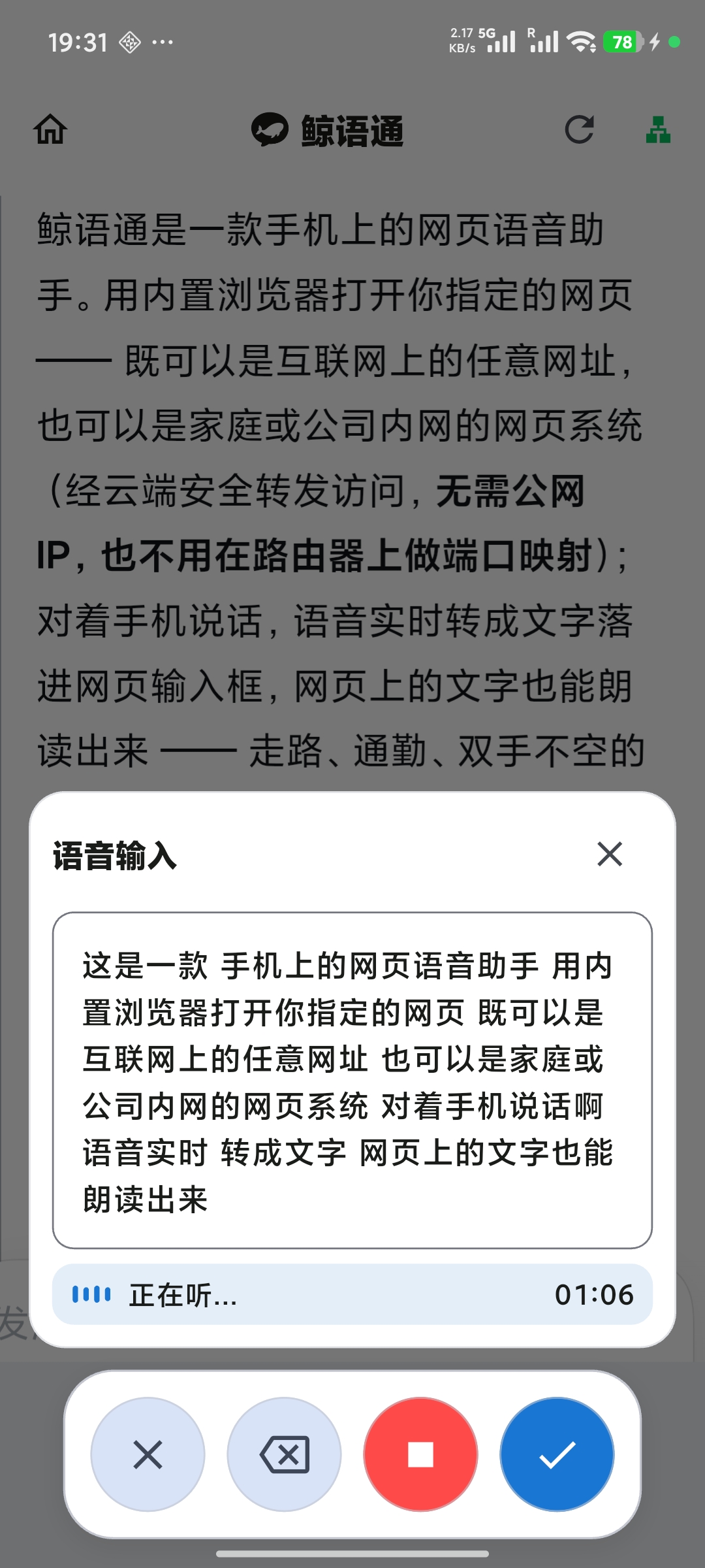 Voice input panel